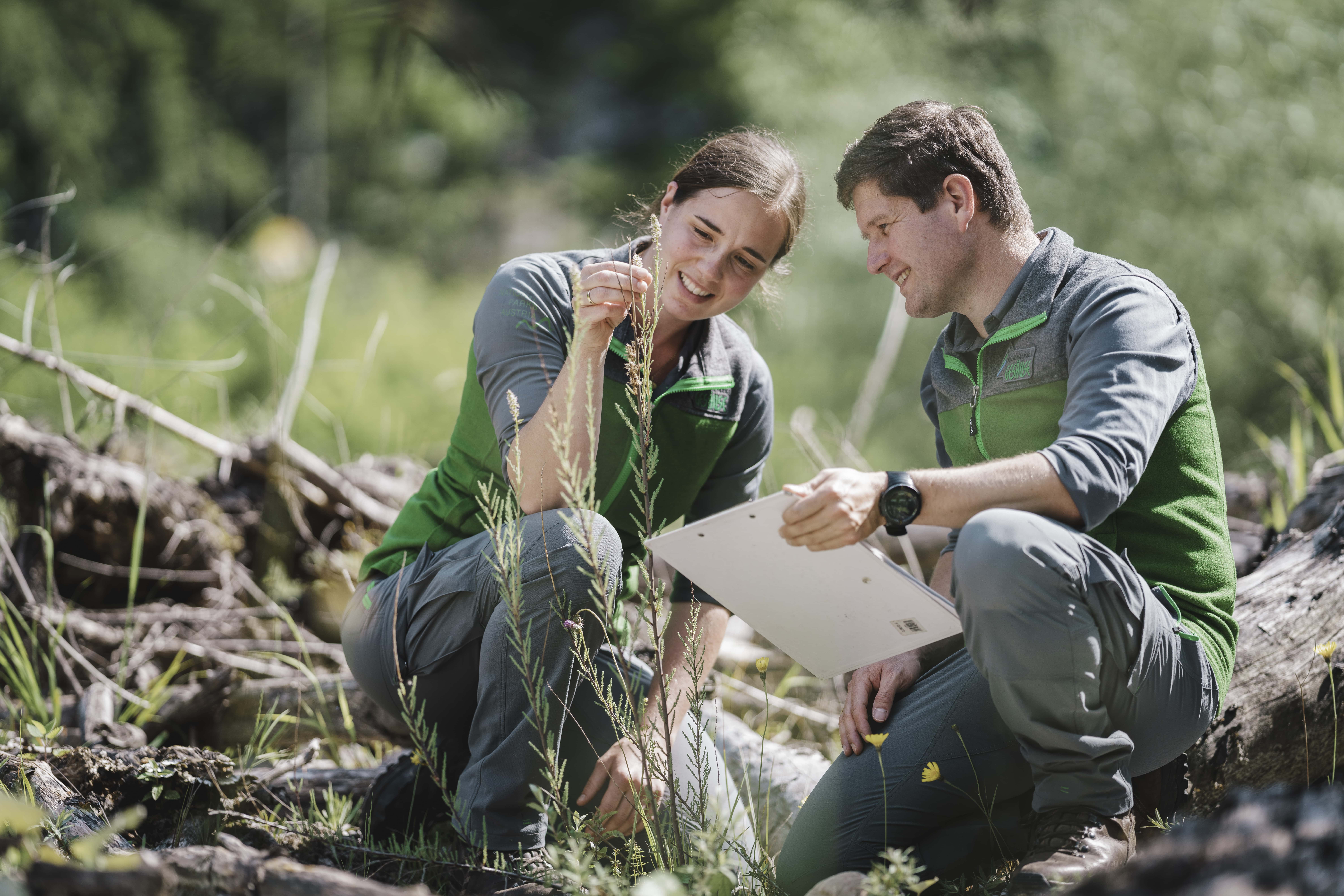 052_Nationalpark_Gesäuse_Naturschutz_Ranger©StefanLeitner_NPG-min