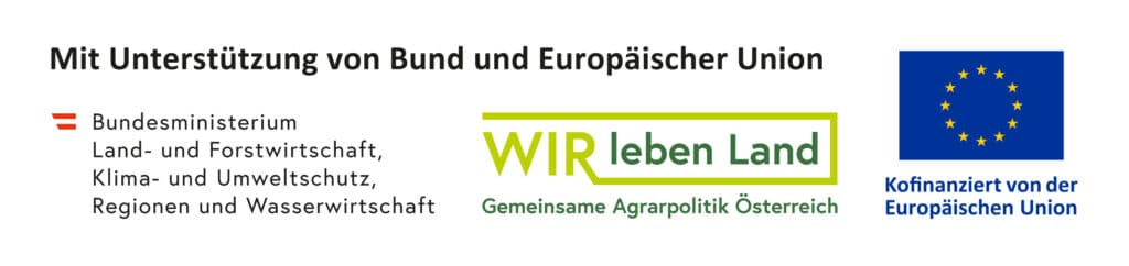 Logo 2026