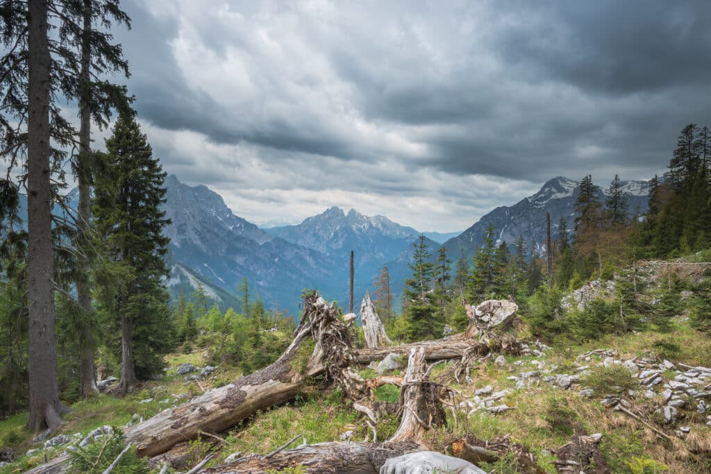 Wilderness characterises the Gesäuse National Park (Copyright Martin Hartmann)