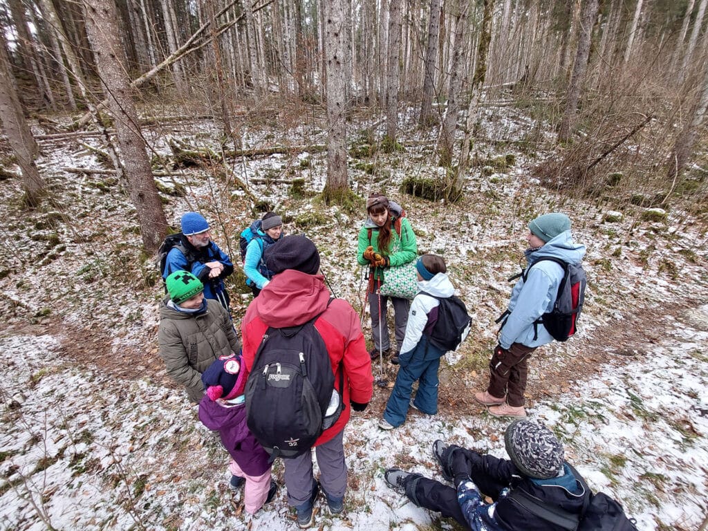 Bei der Rotwildfütterung