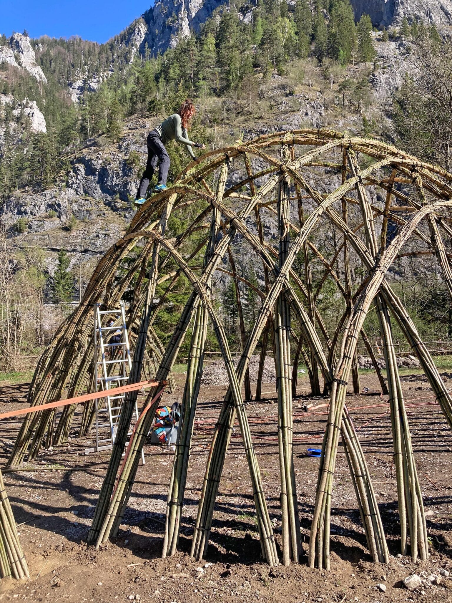 Bild: Weidengeflecht