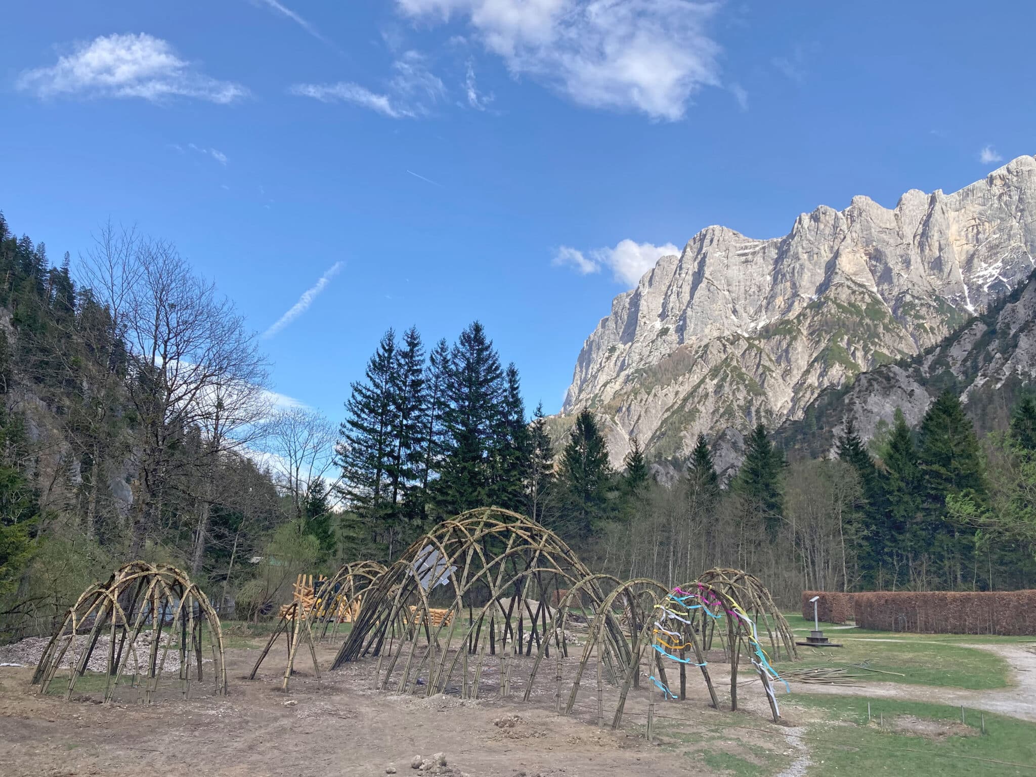 Bild: Der fertige Weidendom