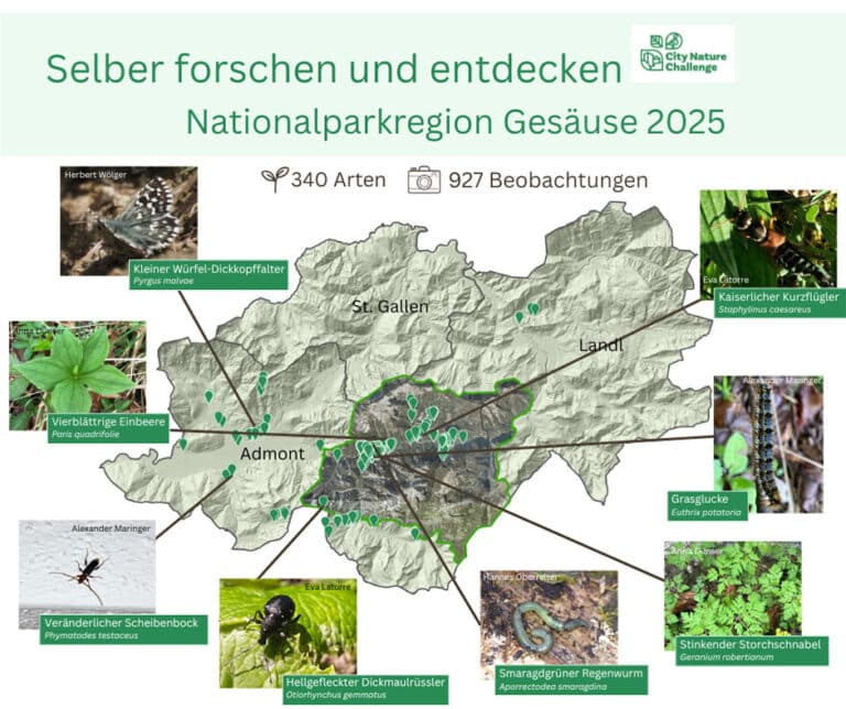 Bild: Selber forschen 2025