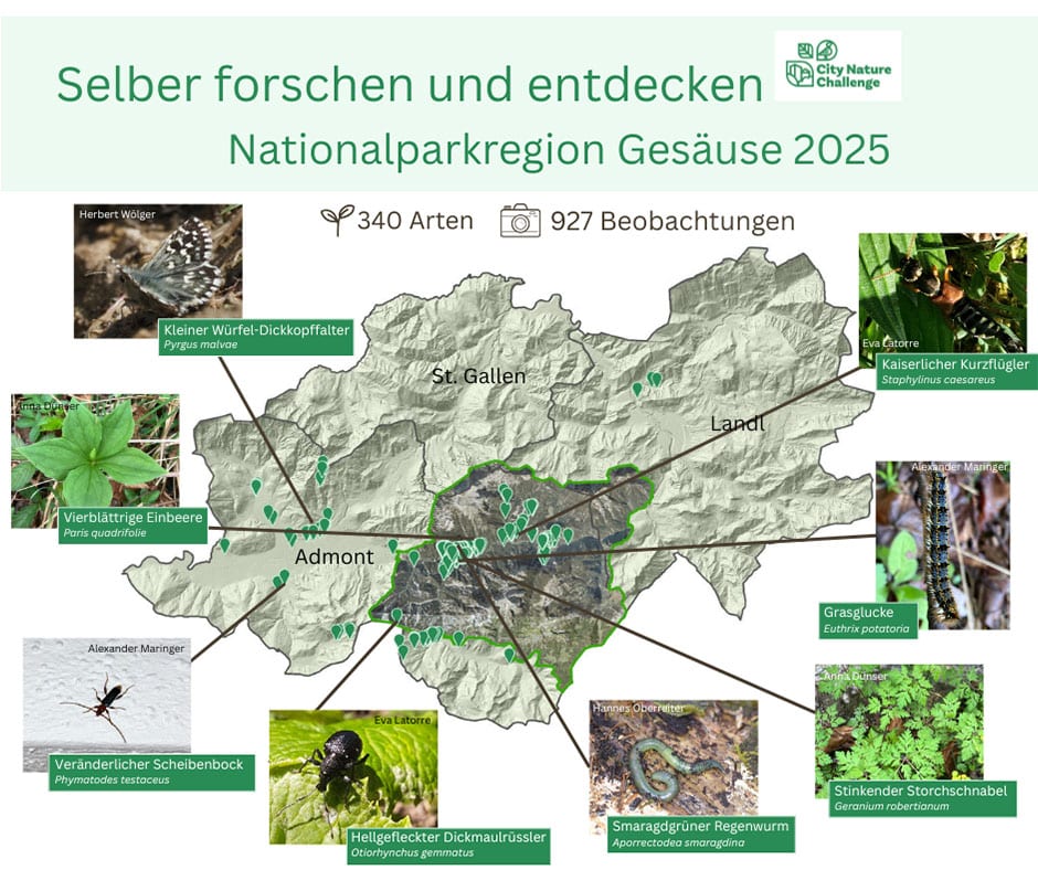 Bild: Selber forschen 2025