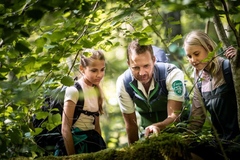 Bild Mittwoch: Der Nationalpark kurz und bündig