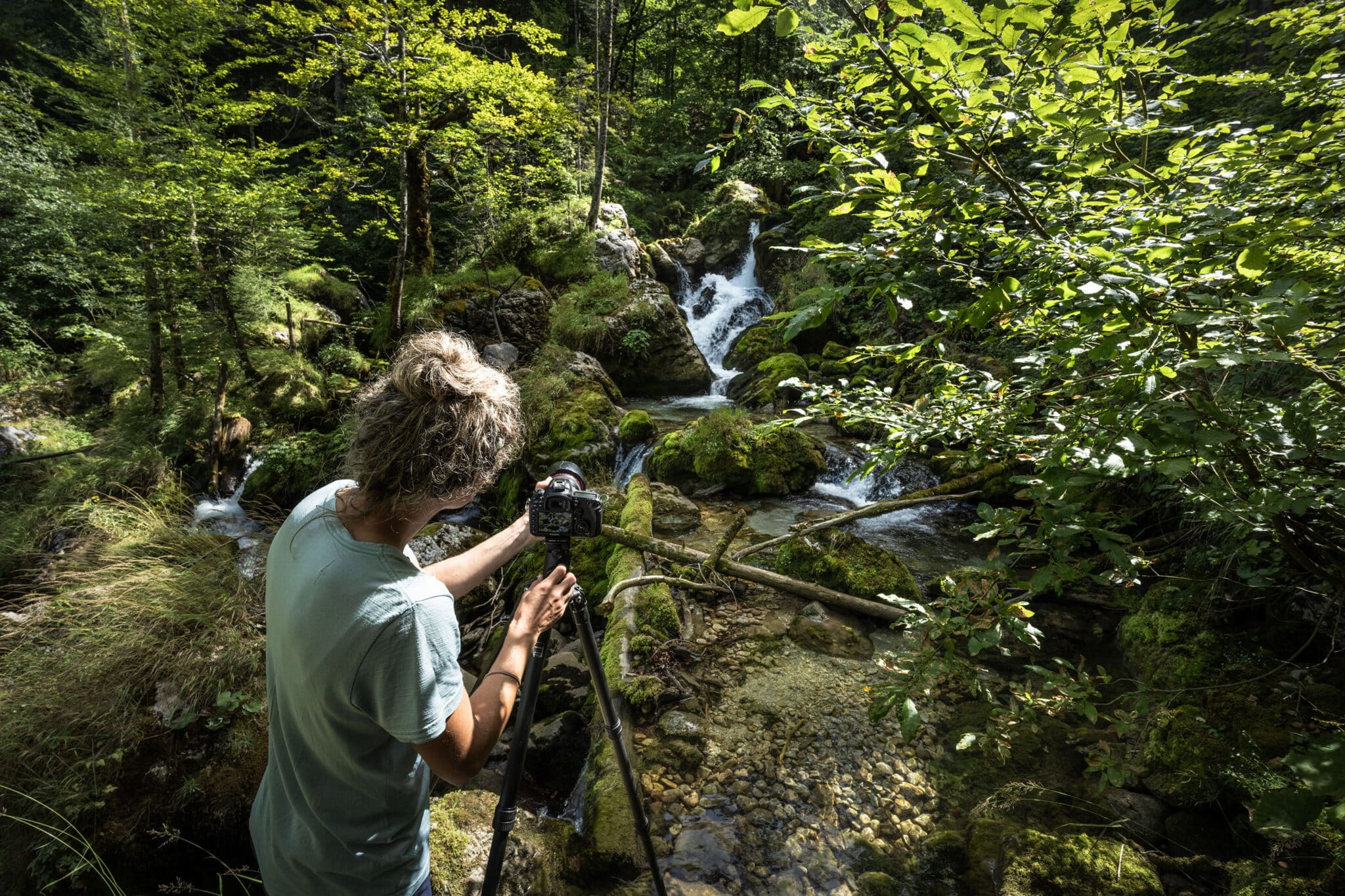 Foto: Naturfotografie im Dialog 2026 - Wald_Jakesch_2