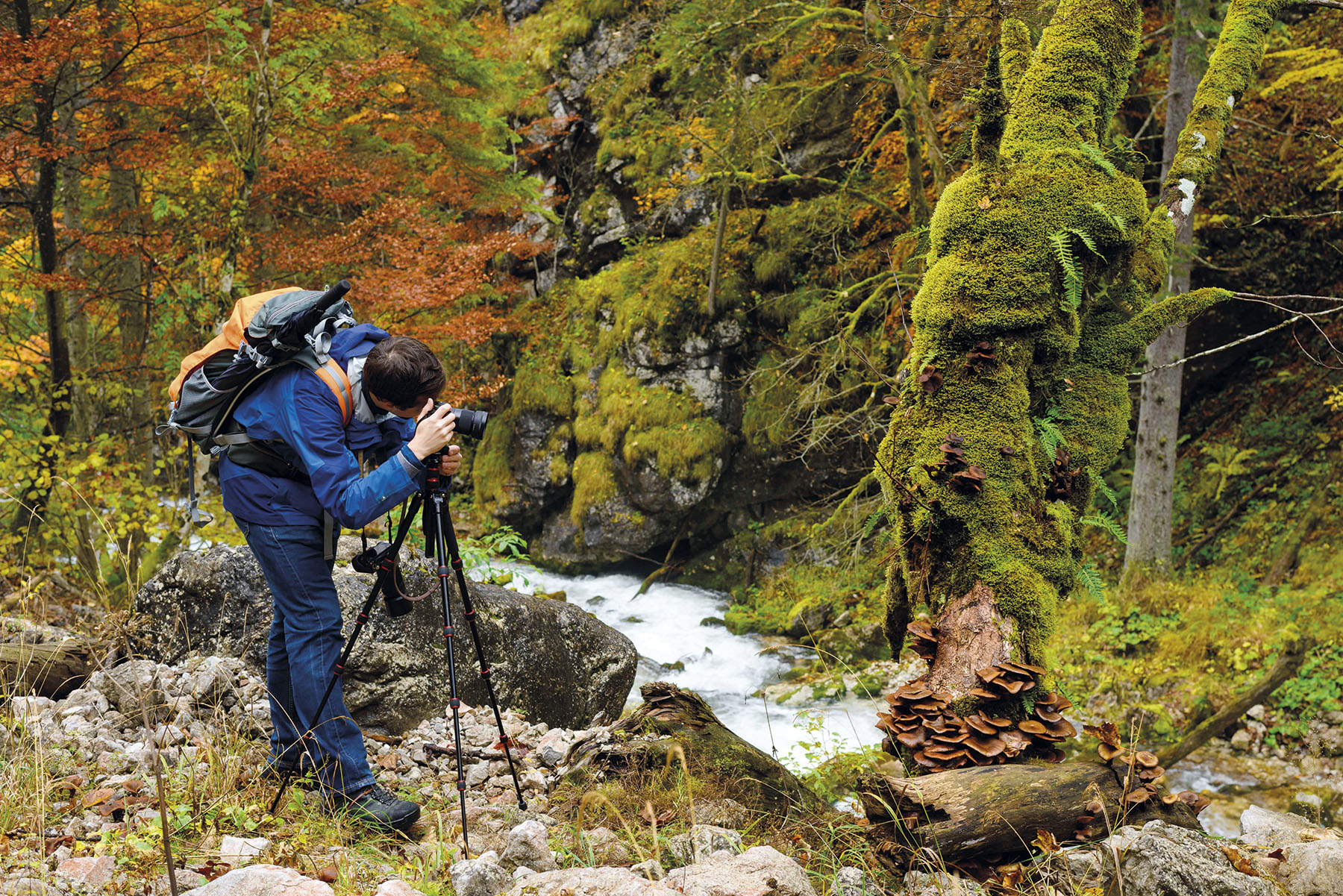 Foto: Naturfotografie im Dialog 2026 - Wald_Schickhofer