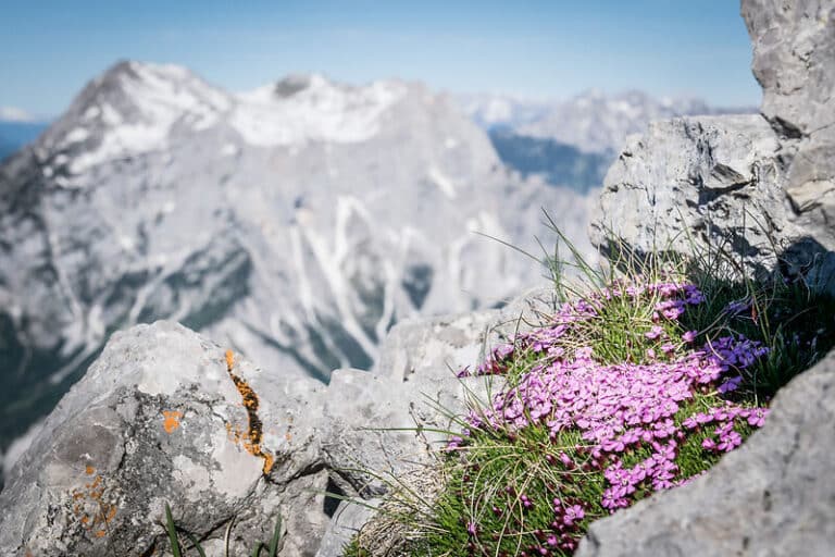 Andreas Hollinger-5996a_NPG