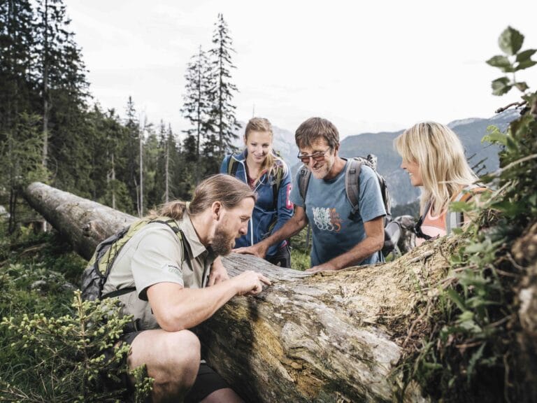 Book_dir_your_guide_1_c_National_Park_Gesaeuse_GmbH_Stefan_Leitner