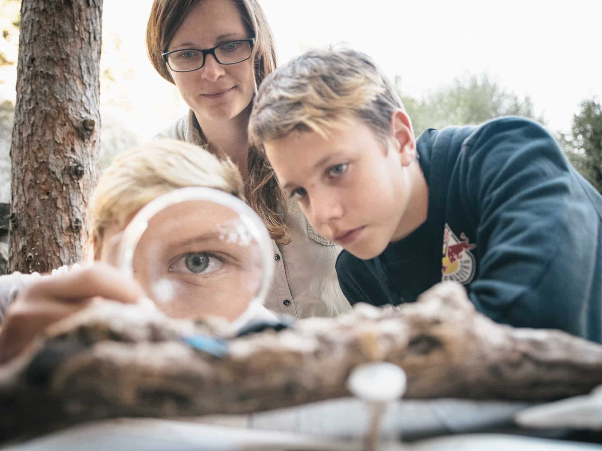 Vergleichsfoto