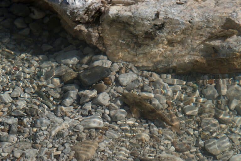 Hartmann_Martin_Enns_Stauraumspulung_August2017-91