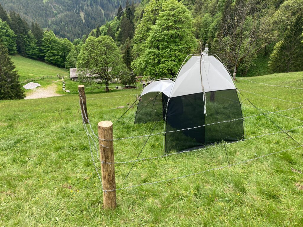 Insect trap Kölblalm