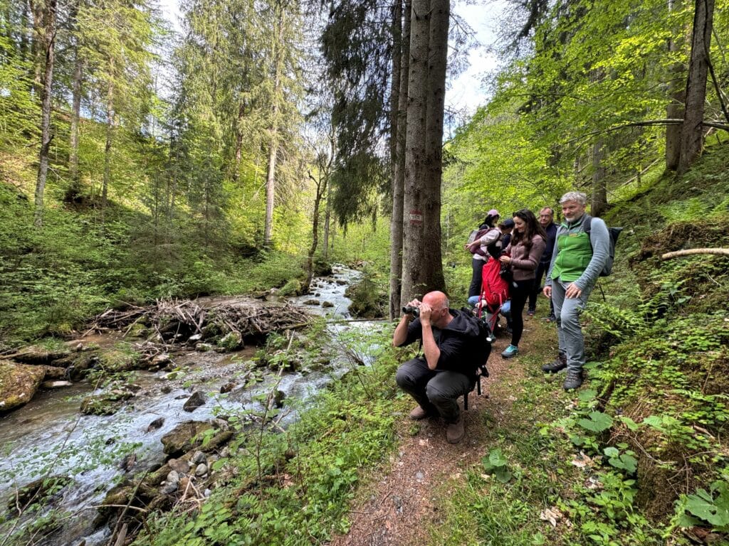 (c) Nationalpark Gesäuse - Führung Joanneum