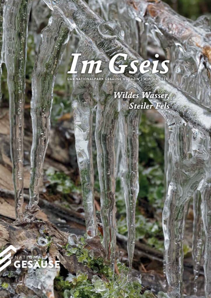 ImGseis 47-Winter 2026