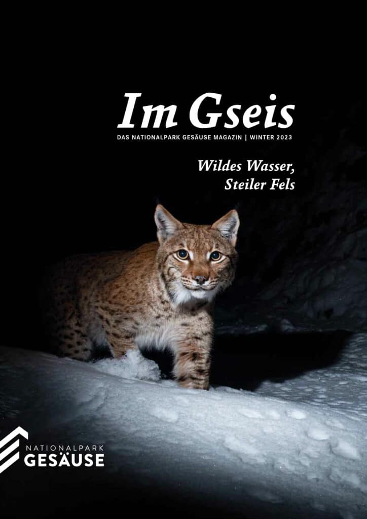 Magazin "Im Gseis" Winter 2023