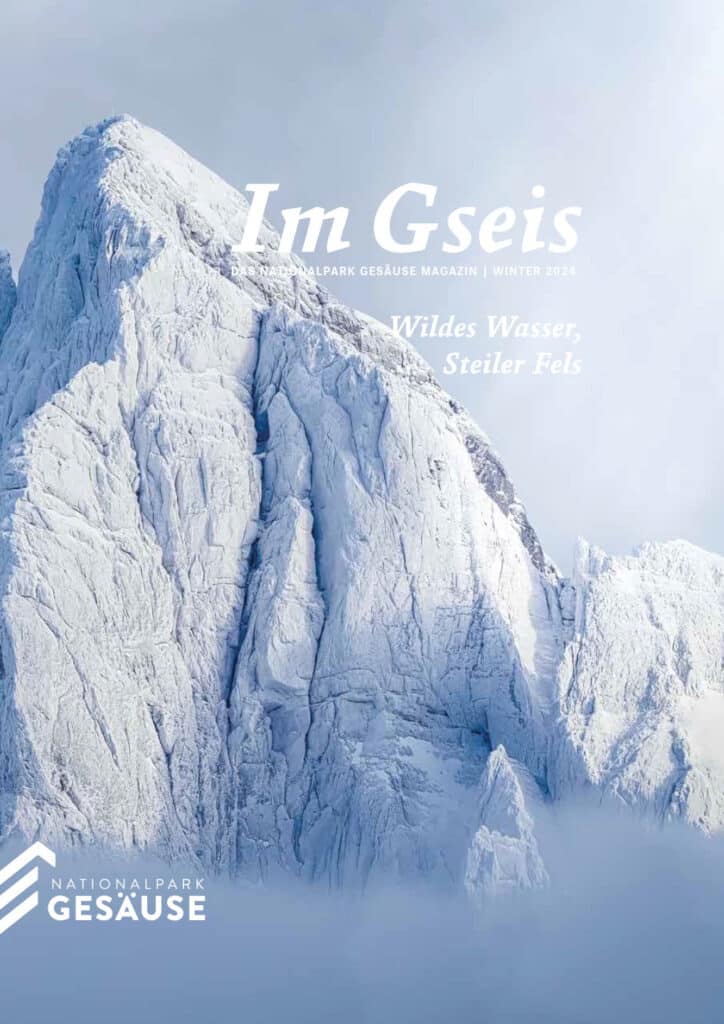 ImGseis43-Winter-2024