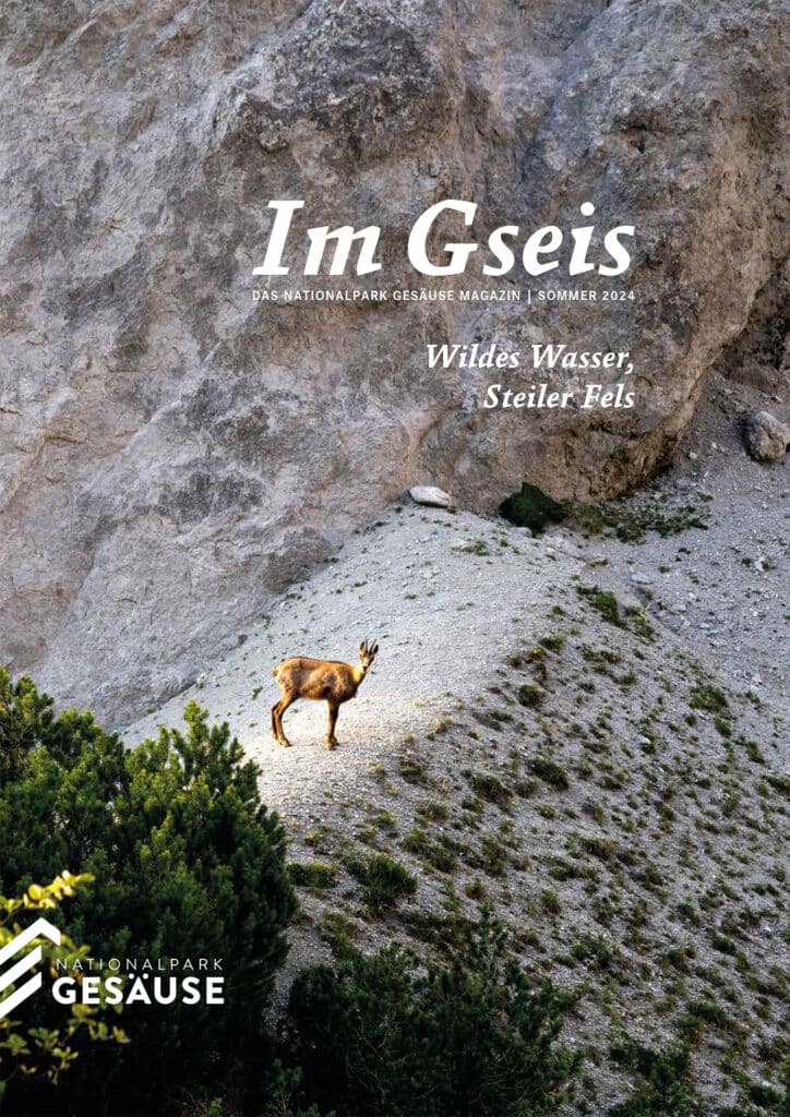 Im Gseis 42 - Sommer 24