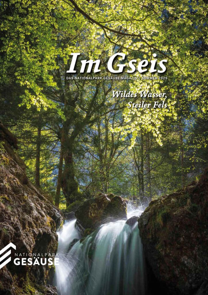 Im_Gseis_44