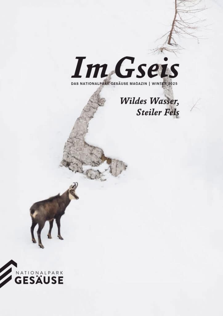 Im Gseis 45 Winter2025