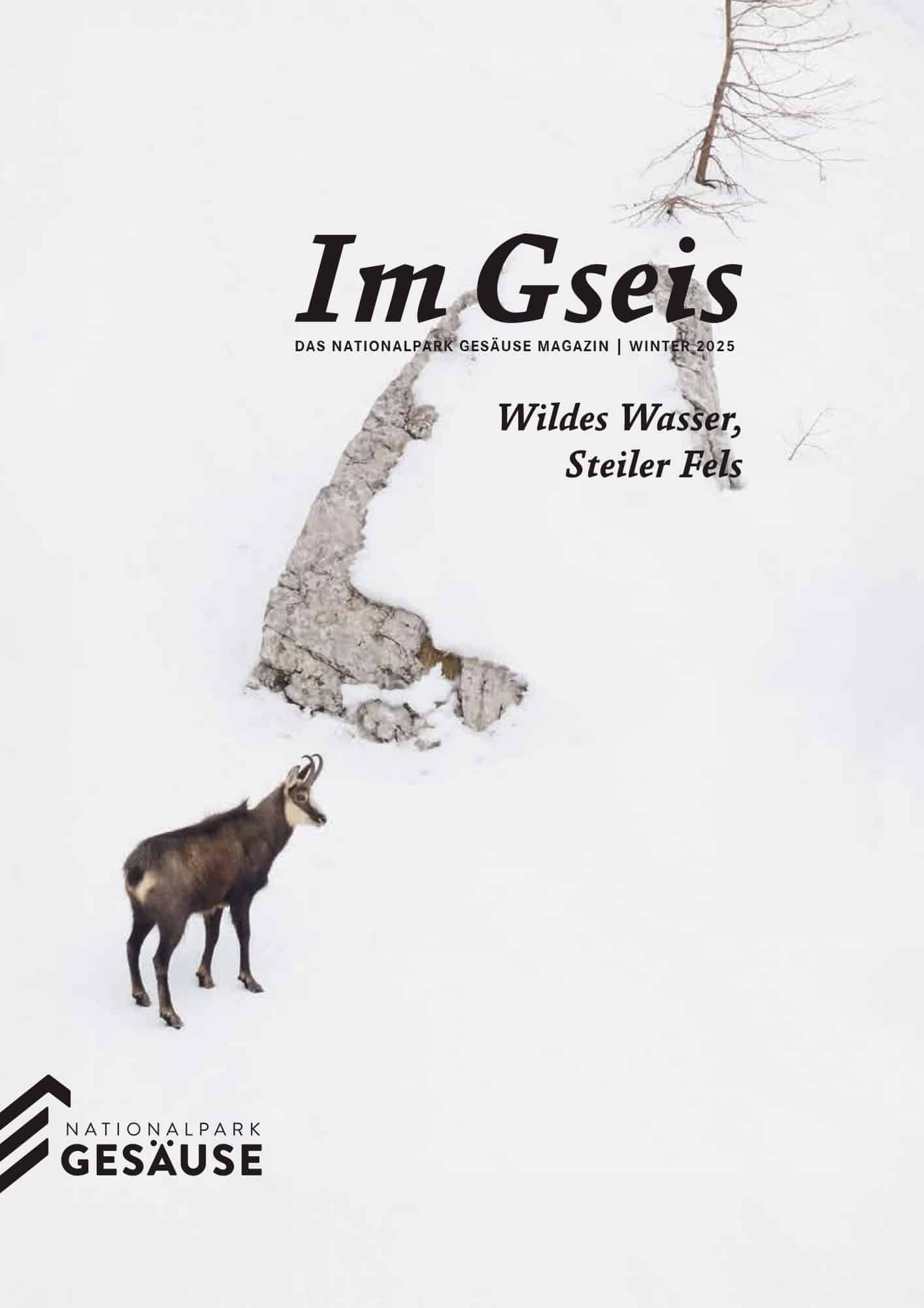 Im Gseis 45 Winter2025