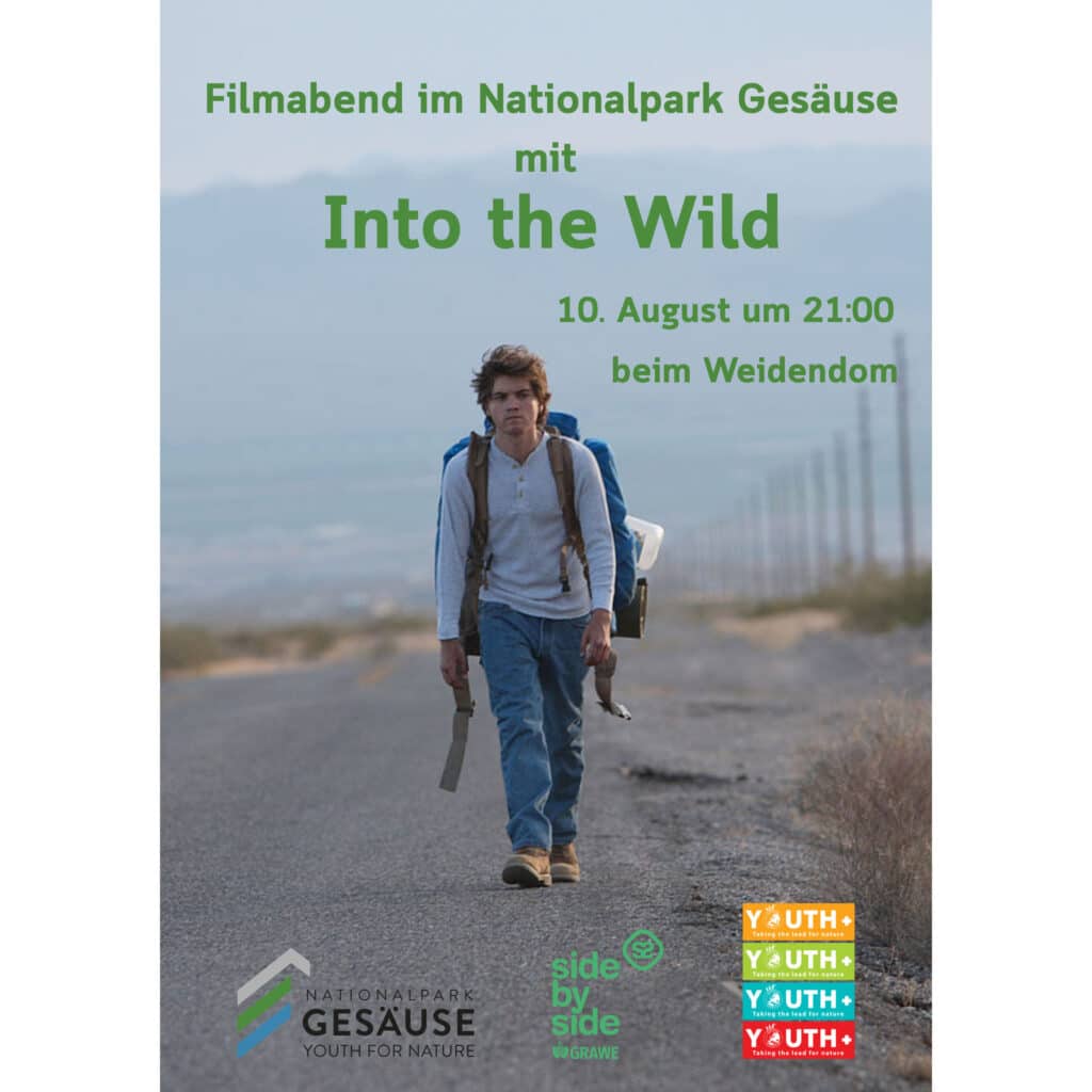 Into the Wild