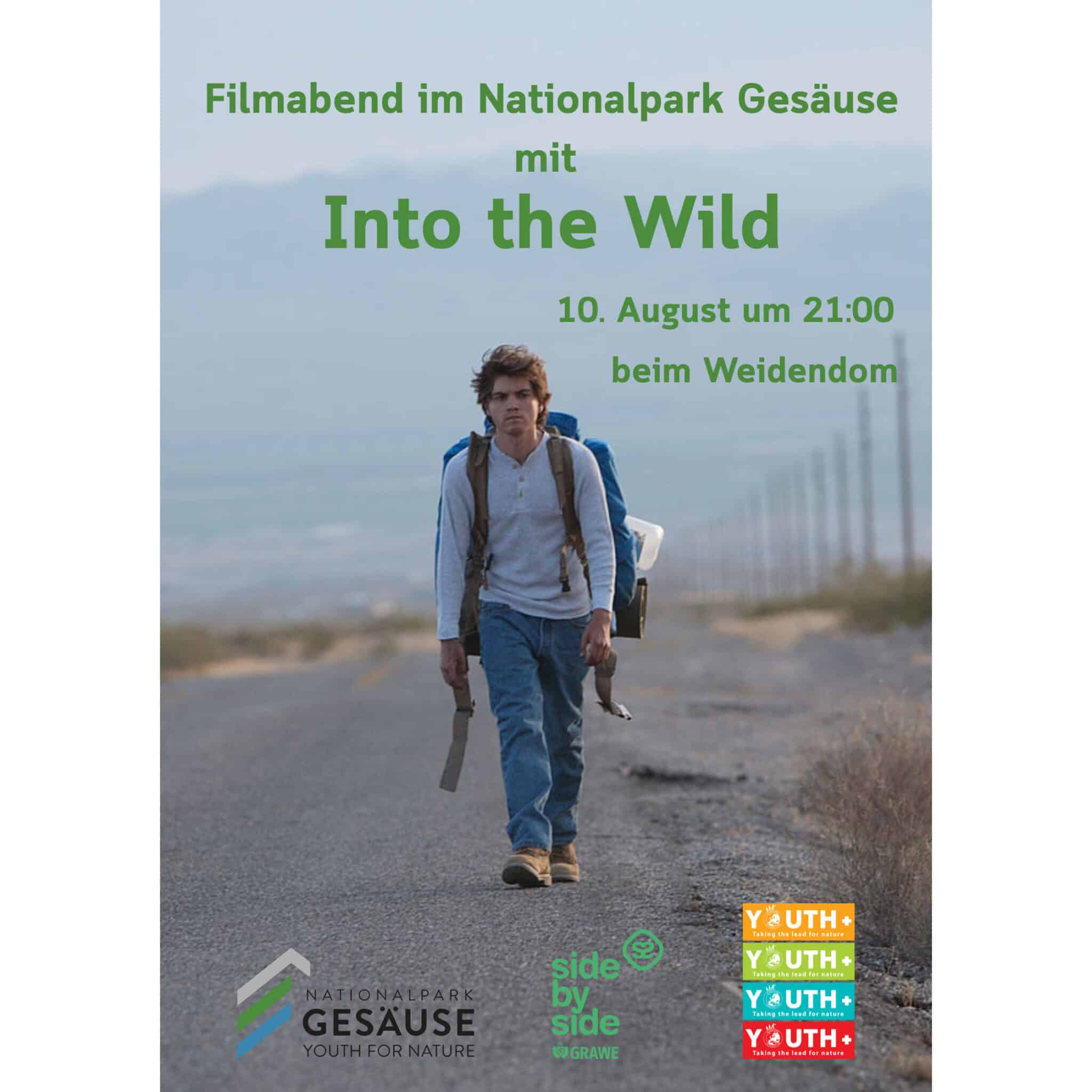 Into the Wild – 1