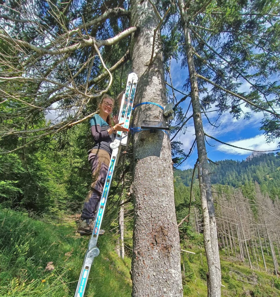 akustisches Monitoringprojekt im Nationalpark