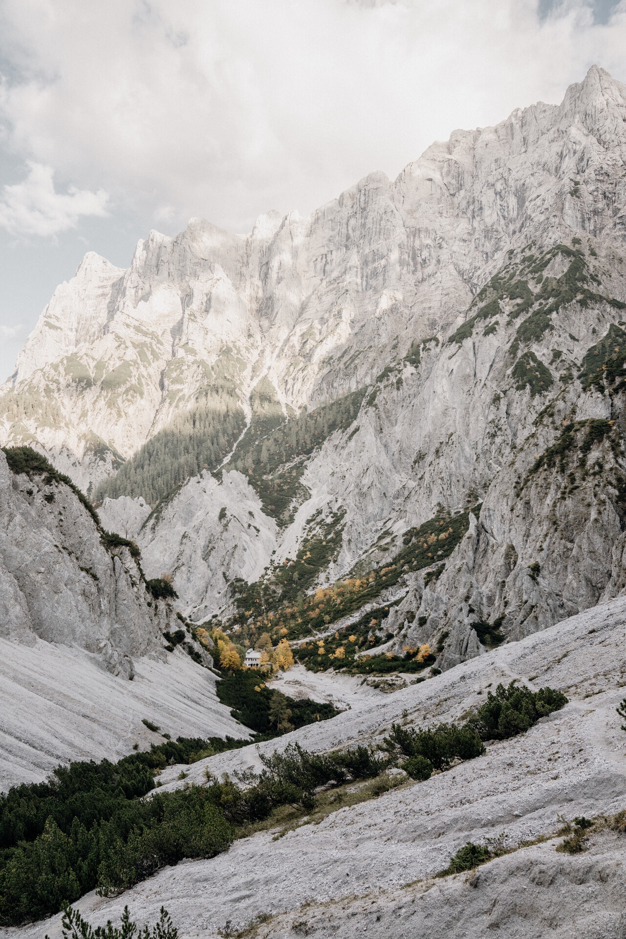 Luchs Trail_c-Max Mauthner_Gesaeuse_75