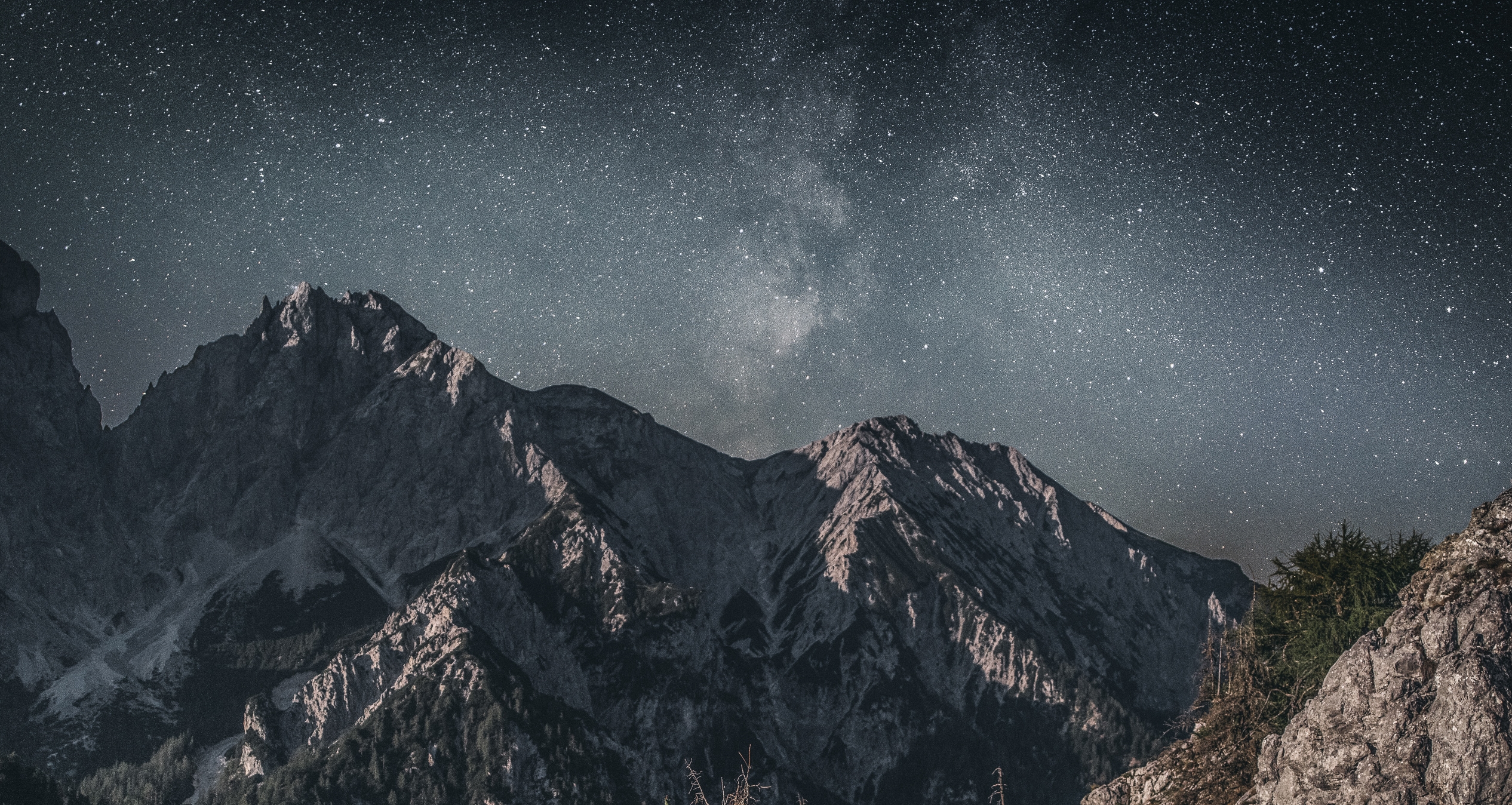 Nachterlebnis_im_Nationalpark_c_Nationalpark_Gesaeuse_GmbH_Andreas_Hollinger