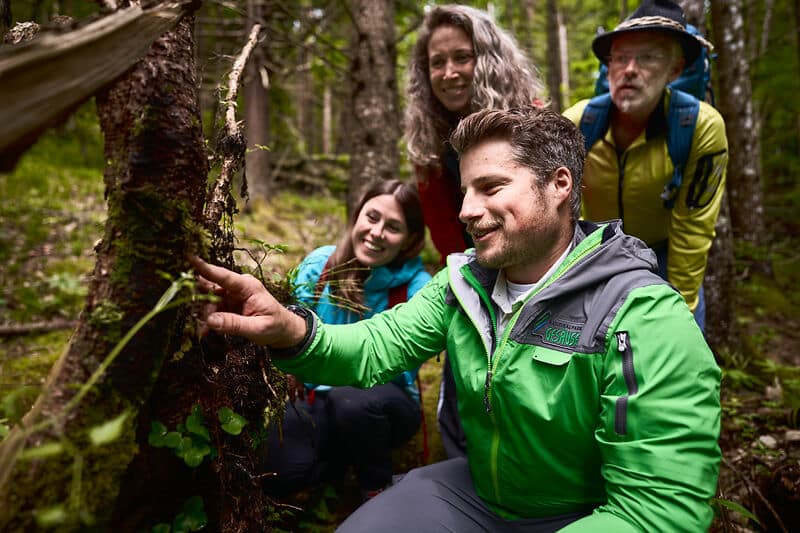 © Stefan Leitner, Führung im Nationalpark Gesäuse