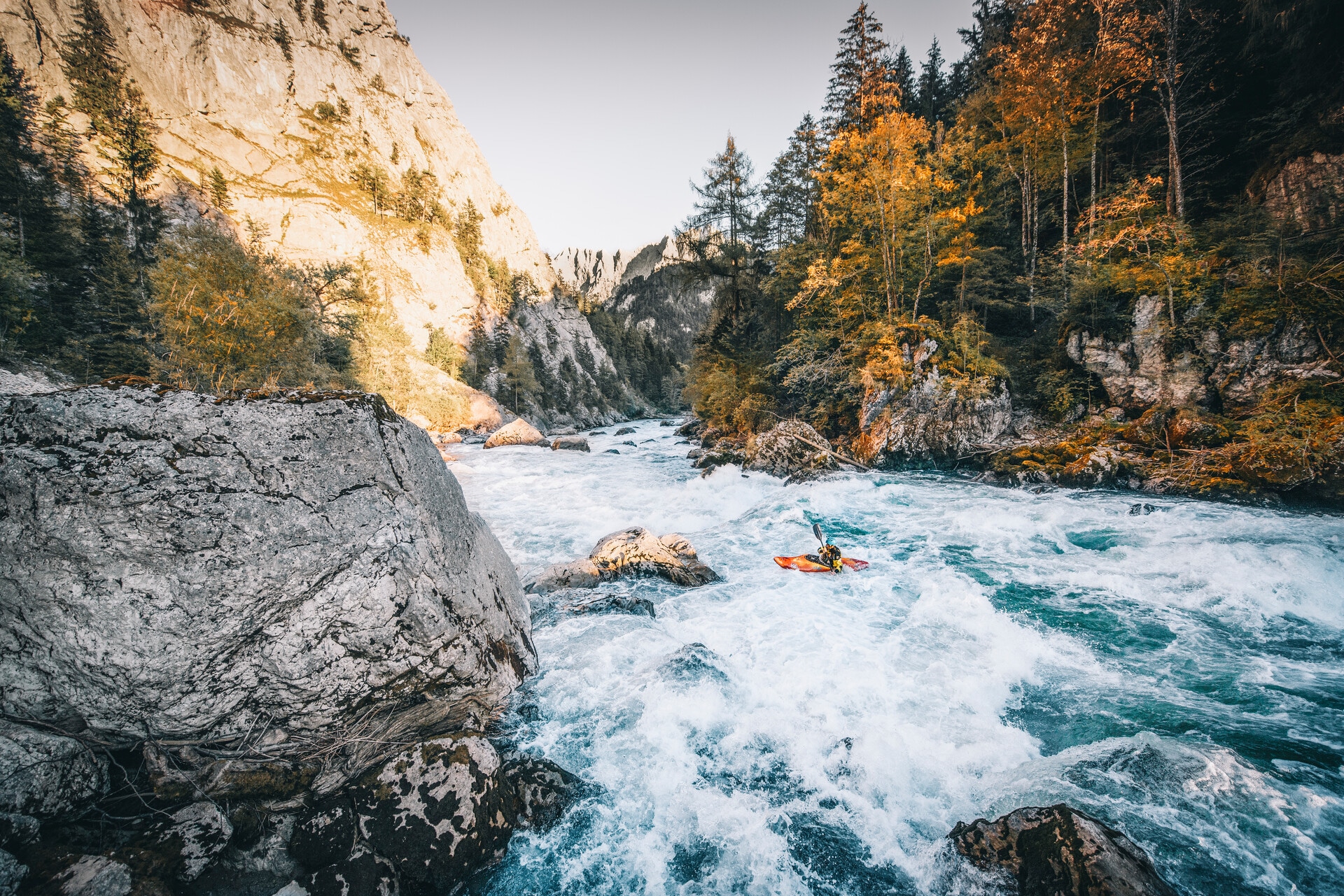 Nationalpark_Gesäuse_©StefanLeitner_036 (5)