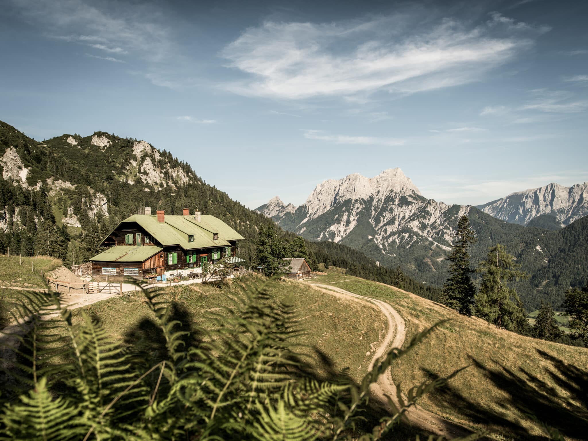 Vergleichsfoto