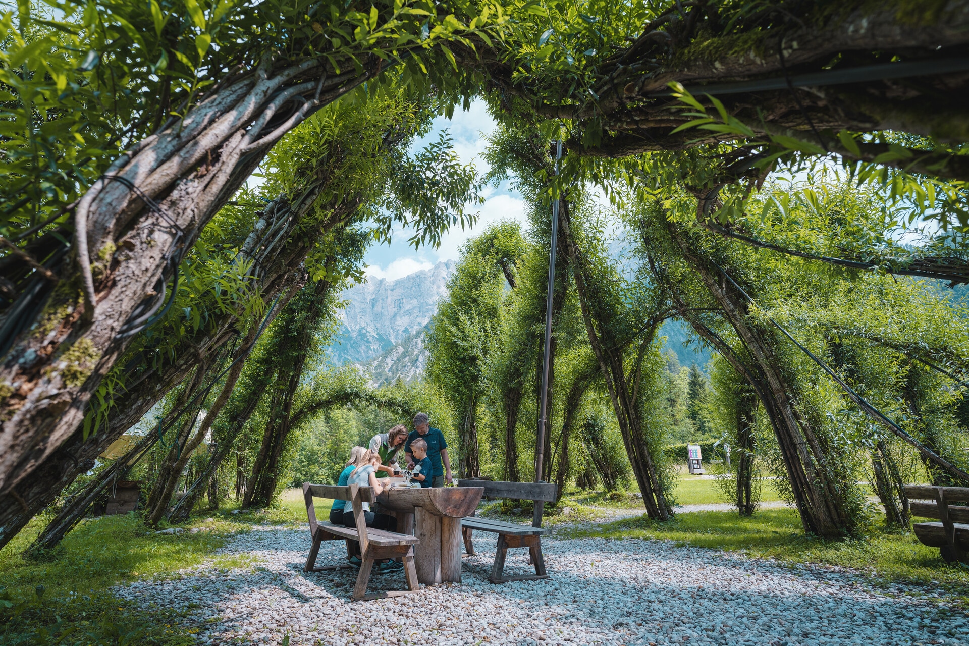 Willow Dome Environment_Stefan_Leitner_37_NPG