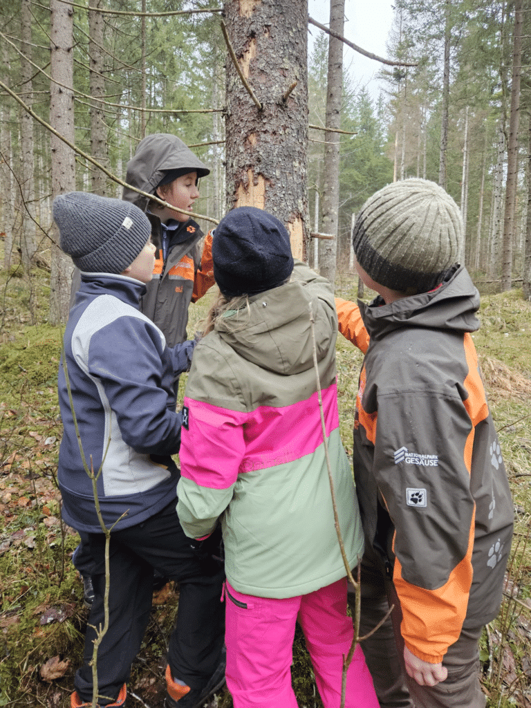 Junior Ranger:innen auf Spurensuche_(c) Franziska Maier
